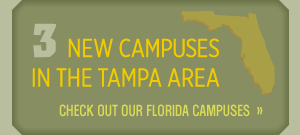 New Tampa, Florida college campuses